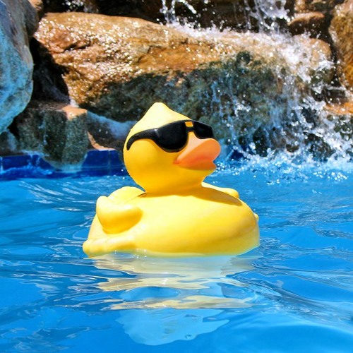 Stream Ducks In The Kiddie Pool Nick TVK is Down To Fuck x Reupload