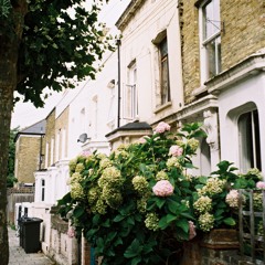 Summertime Breeze/Kiss Of Life/Mardi Gras (Samo Plunders)