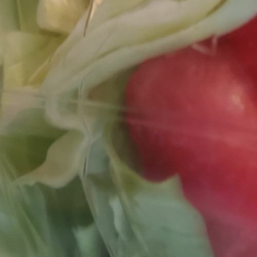 Fruits & Vegetables Song