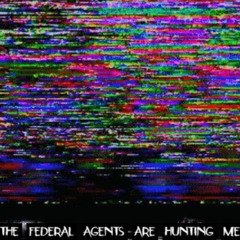 FEDERAL AGENTS ARE HUNTING ME