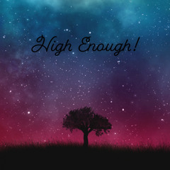 High Enough! (Ft. $auce$way)