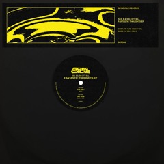 Neil E & Big City Bill - Fantastic Thoughts EP (snippets)