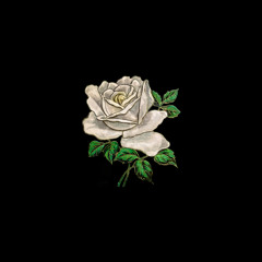 Untitled | made on the Rapchat app (prod. by LifeStyleDidIt)