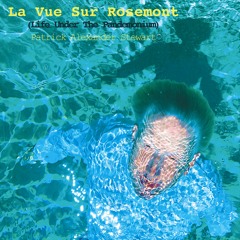 La Vue Sur Rosemont (Life Under The Pandemonium)