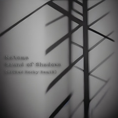 Matoma - Sound of Shadows (niCKed Rocky RemiX)