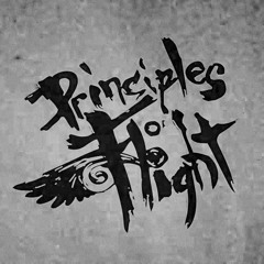 Principles of Flight