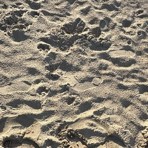 Calabasas ft. Barretta