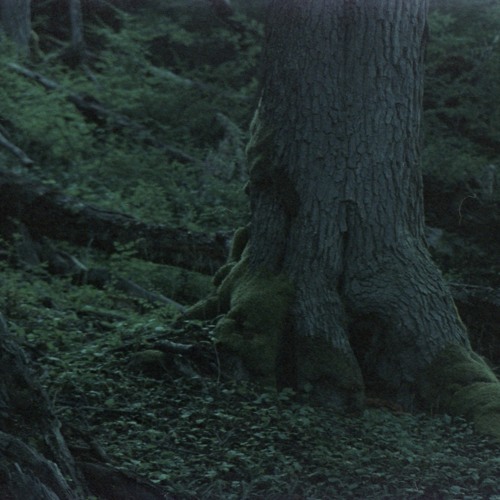 Bsp Memory07 (demo)