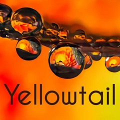 Yellowtail