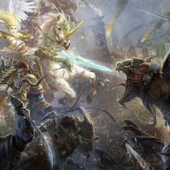 Combat
