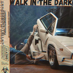Walk In The Dark[prodby.Vlxckheart]