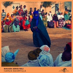 Bassekou Kouyate, Hamza Rahimtula - Ben Kadi (Afro Mix)