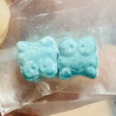 MADE IN KODOK BIRU 🐸