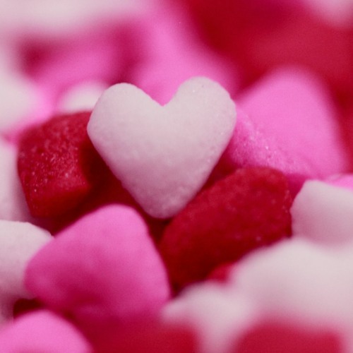 Pink Is My Favorite Color