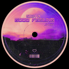 Shugz - Such A Good Feeling