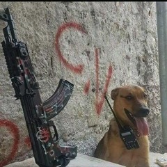 AMOR VAMOS BRINCAR DE CAVALINHO X EI TUDO BEM COMO TA - DJ CABELINHO DA PLM