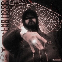 LNB Hood