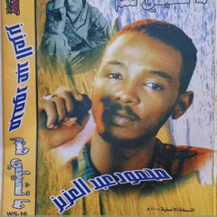 محمود عبد العزيز - ألبوم: ما تشيلي هَم   (سنة ٢٠٠٠م)