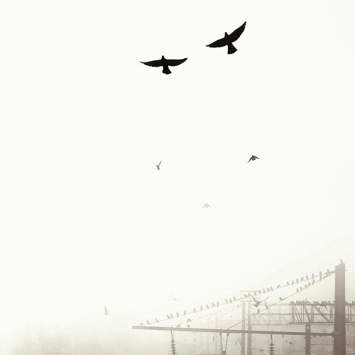 مَرَّتْ سِنِينٌ وَأَنْقَضْت وَلَمْ تُنْسِنَا آلمَ الدَّفِين !💔