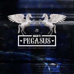 MARTI - PEGASUS