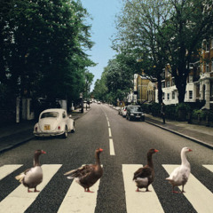 Get Back, You Damn Goose!  (The Beatles v The Aristocats)