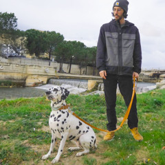 Les prémices