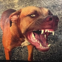 Mechanic rmx 🍻🔊