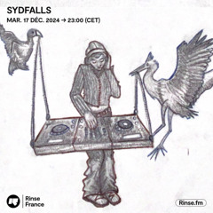 Sydfalls | Mar. 17 DÉC. 2024 Rinse France