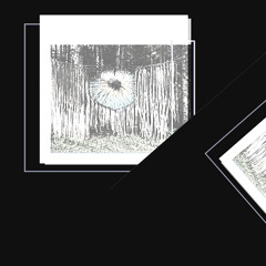 did it happen again? it happened again