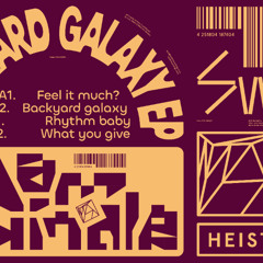 PREMIERE: Dam Swindle - Feel It Much? [Heist Recordings]