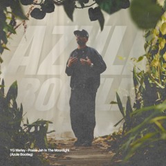 YG Marley - Praise Jah In The Moonlight (Azule Bootleg) [Free Download]