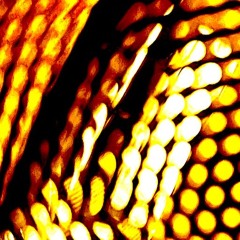 Funk - der Groove, der niemals vergeht