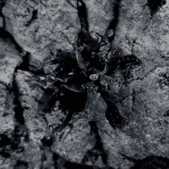 premiere: Solma - Trimitic [OS06]