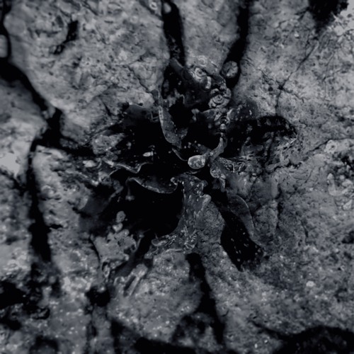 premiere: Solma - Trimitic [OS06]