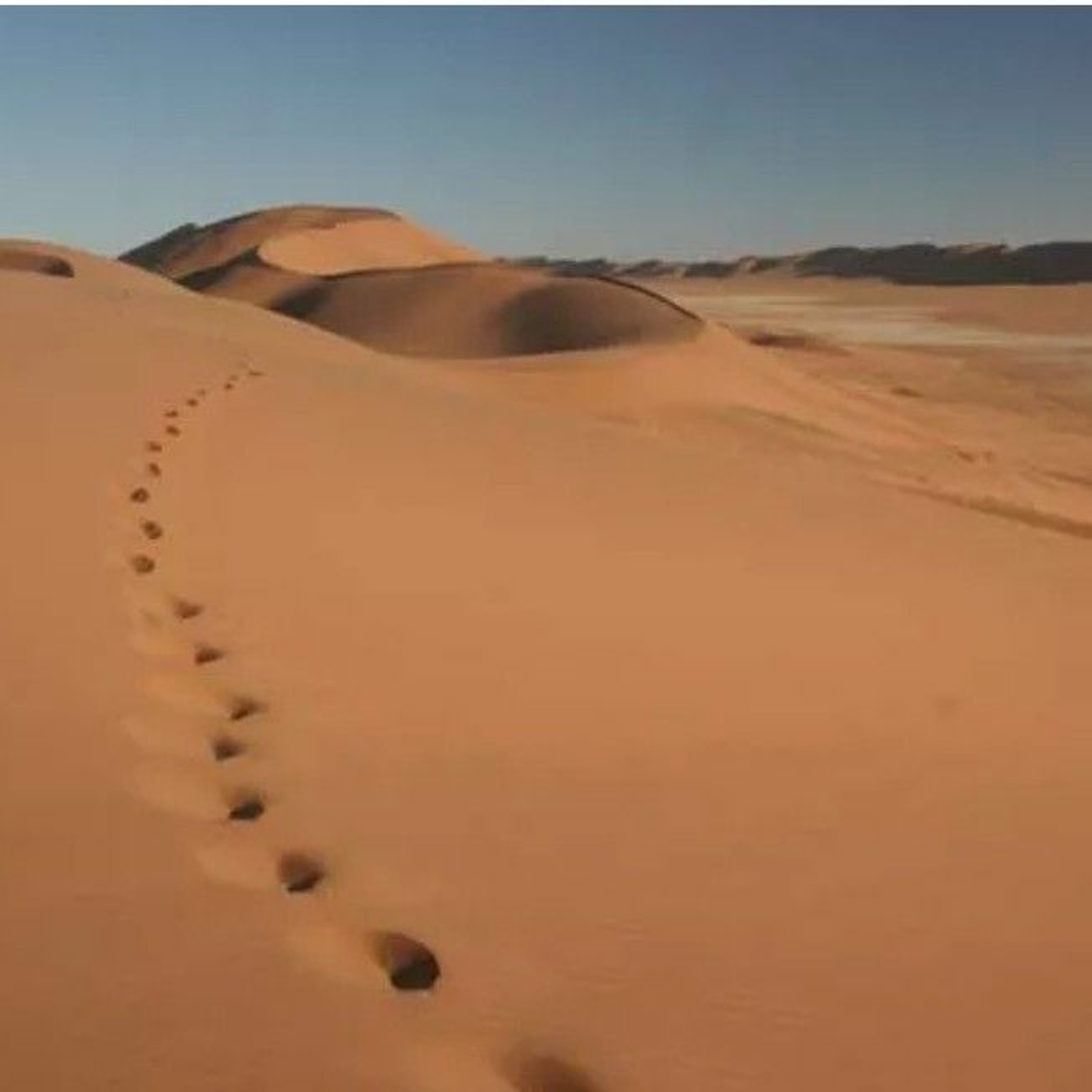 Leviathan Chant Entertainment