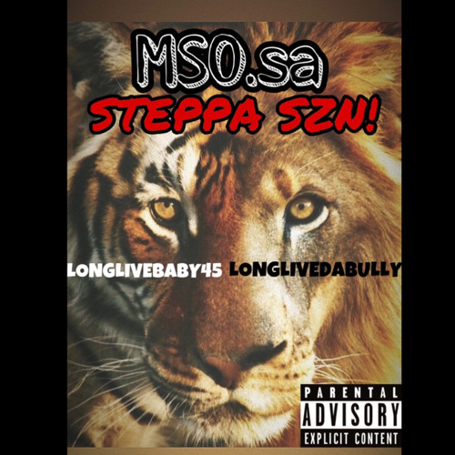 Mso.sa-FREESTYLE VIBES