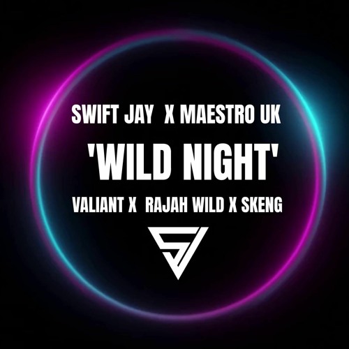 Maestro X Swift Jay - Wild Night (MASHH)(EXPLICIT)