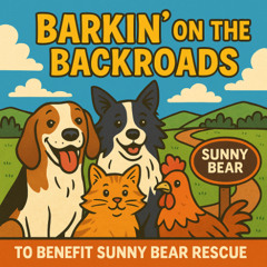 The Rooster Hates My Alarm Clock