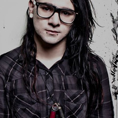 what skrillex doesnt want you to know