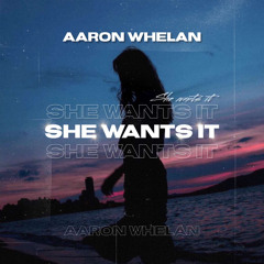 Aaron Whelan- She Wants It