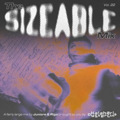 The Sizeable Mix Vol. 22: Juniore & RIGO