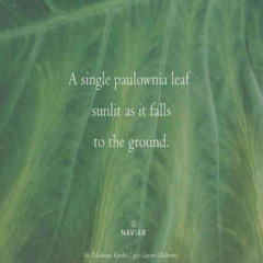 A vertical dance (naviarhaiku627)