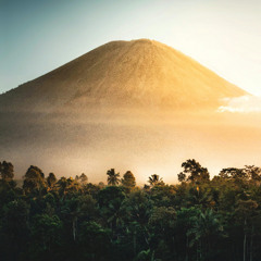 Its dark in the Jungle Vol. II