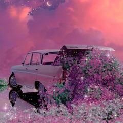 Quack Squawk Honk Releases