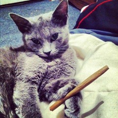 heavyweight freestyle