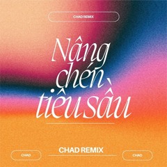 Nâng Chén Tiêu Sầu ( Chad Nguyen Remix )