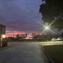 Sticky shrubs🎱 (prod.Gr4ff)