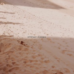 Wildest Dreams (Taylor's Version)(Taylor Swift Cover)