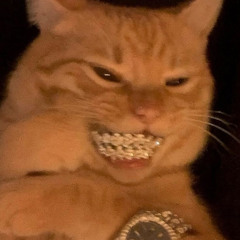 G_3rson258 (C/ Lil ZORO) - Trap house (prod.Lil Zoro)