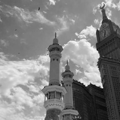 سورة الفتح | سالم الرويلي🤍